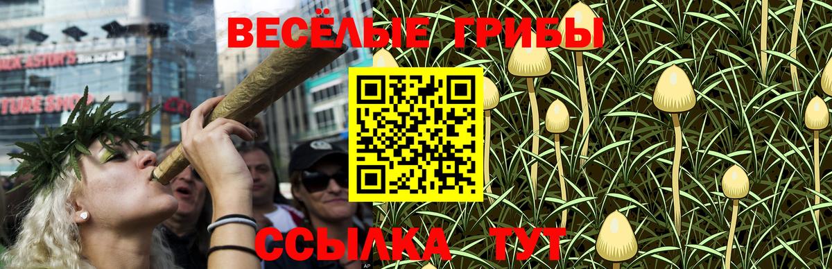 Галлюциногенные грибы Cubensis  Вход с VPN  Лабинск 